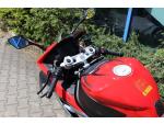 Klikněte pro detailní foto č. 8 - QJ Motor SRK 921 RR SKLADEM