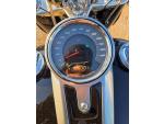 Klikněte pro detailní foto č. 12 - Harley-Davidson FLFB Softail Fat Boy 107
