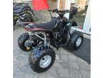 Klikněte pro detailní foto č. 11 - Access Motor DRR 100, zpátečka, velmi pěkný stav