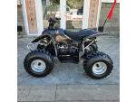 Klikněte pro detailní foto č. 3 - Access Motor DRR 100, zpátečka, velmi pěkný stav