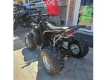 Klikněte pro detailní foto č. 5 - Access Motor DRR 100, zpátečka, velmi pěkný stav