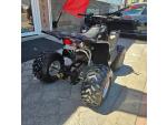 Klikněte pro detailní foto č. 6 - Access Motor DRR 100, zpátečka, velmi pěkný stav