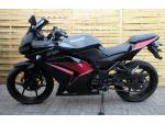 Klikněte pro detailní foto č. 4 - Kawasaki Ninja 250 R  "A2"