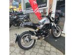 Klikněte pro detailní foto č. 11 - Benelli Leoncino 500 TRAIL, stav nového stroje, najeto pouze 567 km