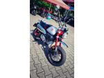 Klikněte pro detailní foto č. 3 - Honda Z125 Monkey - SKLADEM