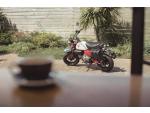Klikněte pro detailní foto č. 6 - Honda Z125 Monkey - SKLADEM