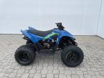 Klikněte pro detailní foto č. 2 - CFMOTO CFMOTO Gladiator X110 LE 