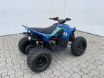Klikněte pro detailní foto č. 3 - CFMOTO CFMOTO Gladiator X110 LE 