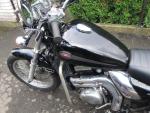 Klikněte pro detailní foto č. 4 - Kawasaki EL 252 Eliminator