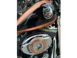 Klikněte pro detailní foto č. 3 - Harley-Davidson FXSTC Softail Custom