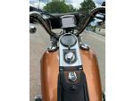 Klikněte pro detailní foto č. 6 - Harley-Davidson FXSTC Softail Custom