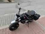 Klikněte pro detailní foto č. 7 - Honda Monkey 125 ČR 1. MAJ TOP