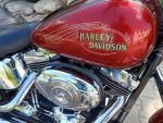 Klikněte pro detailní foto č. 11 - Harley-Davidson FXSTC Softail Custom
