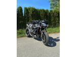 Klikněte pro detailní foto č. 4 - Triumph Speed Triple RS