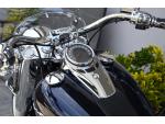 Klikněte pro detailní foto č. 9 - Harley-Davidson FLDE Softail Deluxe 107  CZ púvod / 2.500km / Bassani exh.