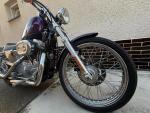 Klikněte pro detailní foto č. 3 - Harley-Davidson XL 883C Sportster
