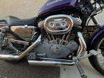Klikněte pro detailní foto č. 4 - Harley-Davidson XL 883C Sportster