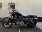 Klikněte pro detailní foto č. 8 - Harley-Davidson XL 883C Sportster