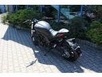 Klikněte pro detailní foto č. 8 - Benelli 502c 2024 AKCE POZOR