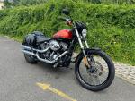 Klikněte pro detailní foto č. 1 - Harley-Davidson FXS 1600 Softail Blackline
