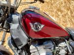 Klikněte pro detailní foto č. 8 - Kawasaki EN 500 Vulcan