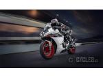 Klikněte pro detailní foto č. 13 - CFMOTO 450 SR