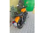 Klikněte pro detailní foto č. 11 - Moto Guzzi V9 Roamer