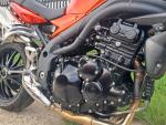 Klikněte pro detailní foto č. 7 - Triumph Speed Triple