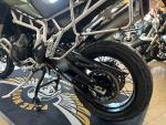 Klikněte pro detailní foto č. 9 - Triumph Tiger 900 Rally PRO