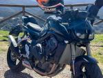Klikněte pro detailní foto č. 5 - QJ Motor SRK 800  Novinka - skladem k vidění