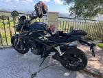 Klikněte pro detailní foto č. 8 - QJ Motor SRK 800  Novinka - skladem k vidění