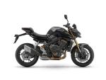 Klikněte pro detailní foto č. 9 - QJ Motor SRK 800  Novinka - skladem k vidění