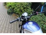 Klikněte pro detailní foto č. 7 - QJ Motor SRV 550 POSLEDNI KUS AKCE