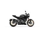 Klikněte pro detailní foto č. 2 - Triumph Trident 800 N O V I N K A