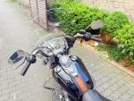 Klikněte pro detailní foto č. 10 - Harley-Davidson FLSTC Heritage Softail Classic