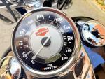 Klikněte pro detailní foto č. 11 - Harley-Davidson FLSTC Heritage Softail Classic