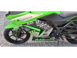 Klikněte pro detailní foto č. 11 - Kawasaki Ninja 250 R ( 24 kw)
