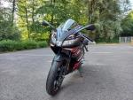 Klikněte pro detailní foto č. 4 - Aprilia RS 125 GP Replica