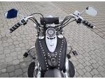 Klikněte pro detailní foto č. 9 - Harley-Davidson Ostatní Harley Davidson Heritage Softail Classic  / 55kW