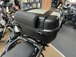 Klikněte pro detailní foto č. 10 - Triumph Tiger 900 GT PRO