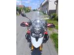 Klikněte pro detailní foto č. 5 - Triumph Tiger 900 Rally Pro