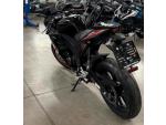 Klikněte pro detailní foto č. 9 - Aprilia RS 125 GP Replica