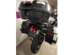 Klikněte pro detailní foto č. 8 - Triumph Tiger 900 Rally Pro