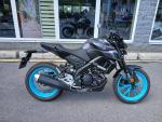 Detail nabídky - Yamaha MT-125 ABS #záruka