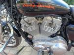 Klikněte pro detailní foto č. 13 - Harley-Davidson XL 883 Sportster