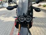 Klikněte pro detailní foto č. 9 - Ducati DesertX Rally