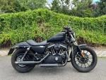 Klikněte pro detailní foto č. 3 - Harley-Davidson XL 883N Sportster Iron