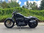 Klikněte pro detailní foto č. 6 - Harley-Davidson XL 883N Sportster Iron