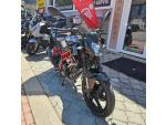 Klikněte pro detailní foto č. 10 - Benelli BN 125, najeto pouze 316 km, ČR, po servisu, stav nového stroje