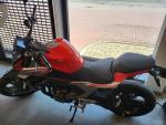 Klikněte pro detailní foto č. 3 - QJ Motor SRK 600